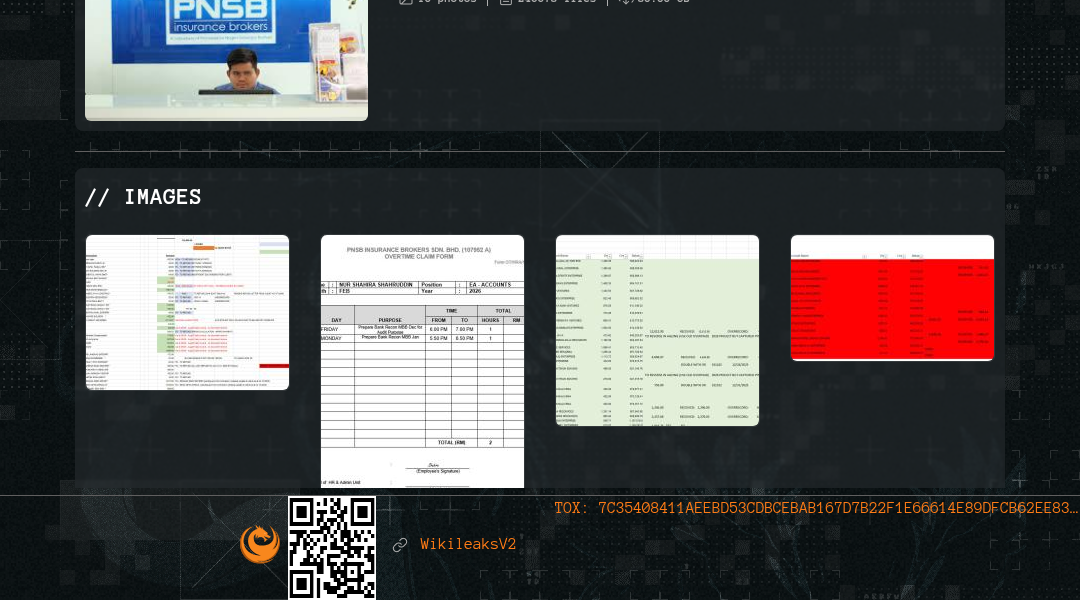 Leak screenshot for PNSB Insurance Brokers Sdn Bhd