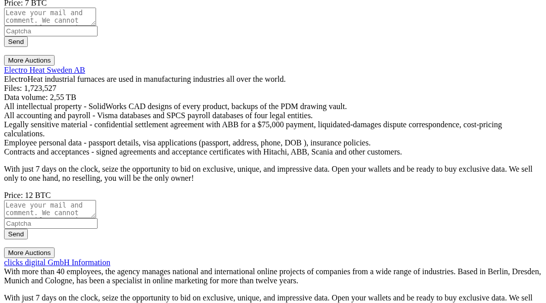 Leak screenshot for Online Marketing Agency (Berlin)