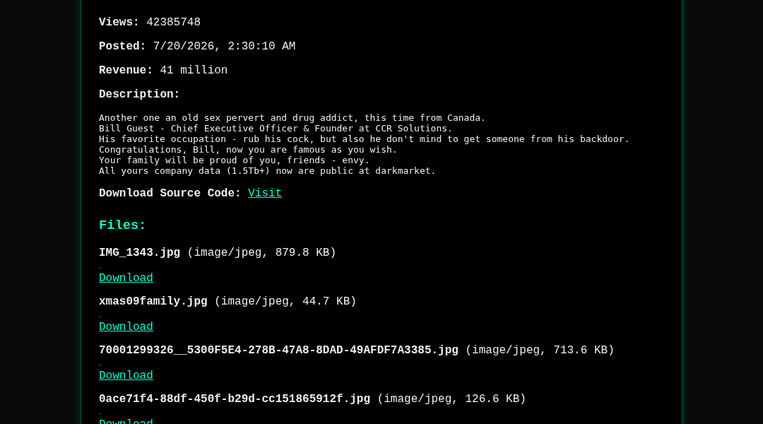Leak screenshot for CCR Solutions