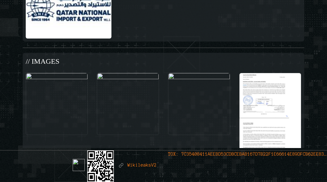 Leak screenshot for Qatar National Import & Export