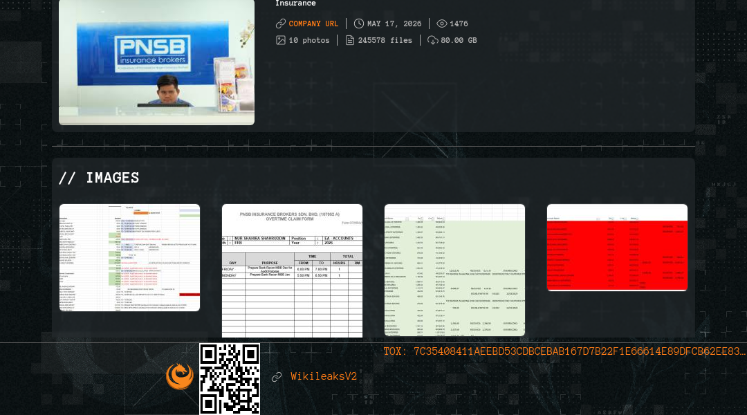 Leak screenshot for PNSB Insurance Brokers Sdn Bhd
