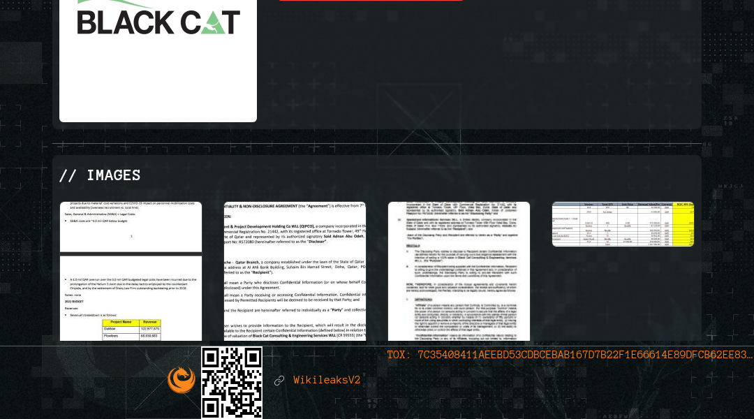 Leak screenshot for Black Cat Engineering Construction Wll