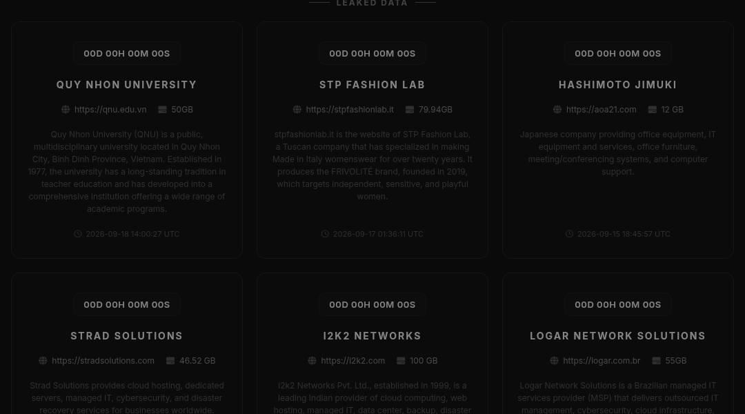 Leak screenshot for IT services company (web design/development)