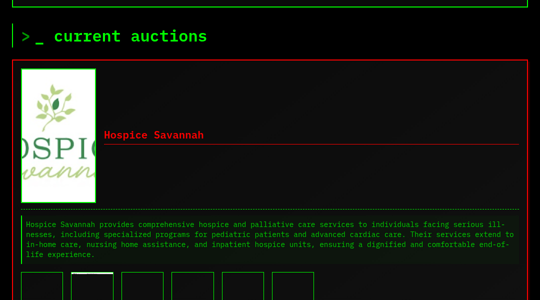 Leak screenshot for Hospice Savannah
